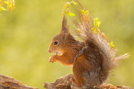 团队销售励志的句子