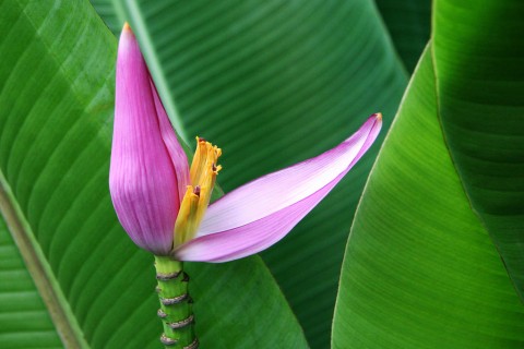 霸气的句子励志