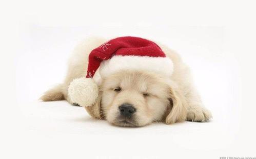 qq心情说说搞笑