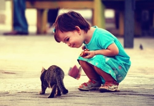 描写春雨优美句子