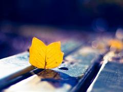 很有意义的句子 关于爱情有含义的句子