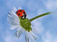 关于人情冷暖的说说