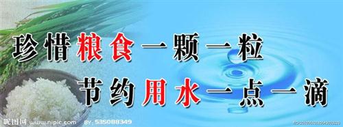 关于珍惜的句子