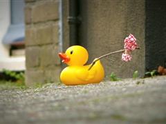 关于自己很疯的说说 说说你们最疯狂的一次