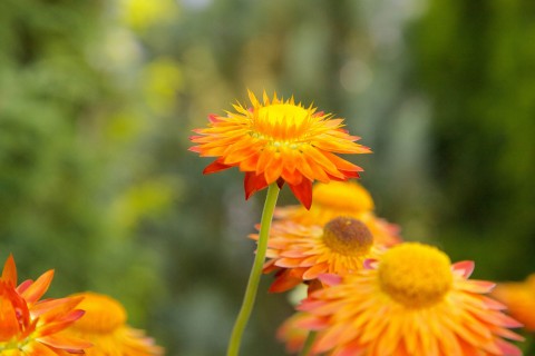 形容老年人的句子