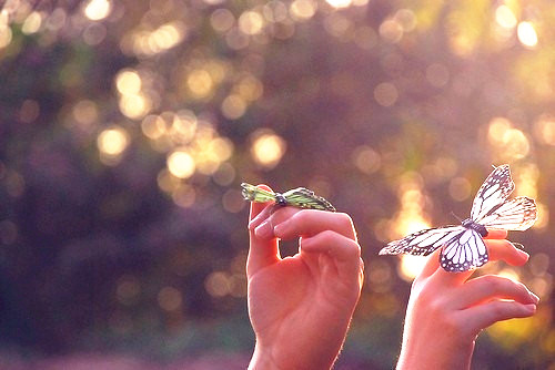 名人名言大全及感悟