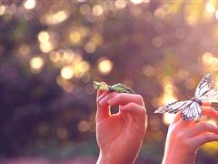 名人名言大全及感悟 名人名言大全经典励志