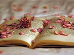 关于交际的说说 人际关系难相处的说说