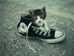 情侣之间分手失恋后发的说说 失恋发的说说