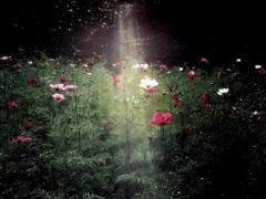 qq伤感简短心情说说 qq心情说说伤感