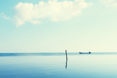 形容经历丰富的句子