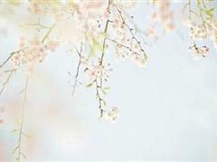 是时候该懂事了的说说 成熟懂事的说说