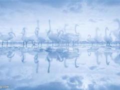 qq唯美的心情句子 心情句子唯美段子