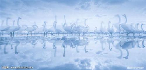 qq唯美的心情句子