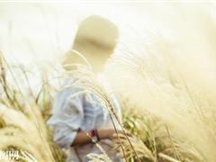 qq说说诗句大全唯美 个性诗句说说大全