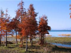 经典qq伤感说说 经典伤感说说