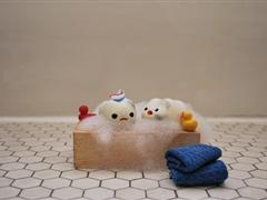 关于阳光的说说 今天阳光好的心情说说
