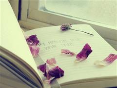 关于玫瑰的说说 关于玫瑰的说说心情