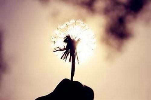 2018年最励志的句子