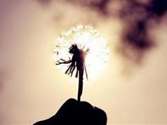 2018年最励志的句子 2018最励志的句子