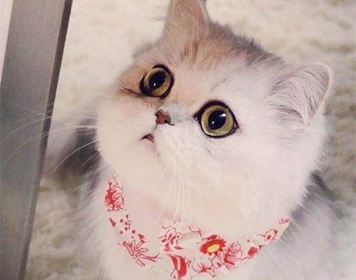 失去朋友的句子