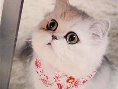 失去朋友的句子 失去最好的朋友的句子