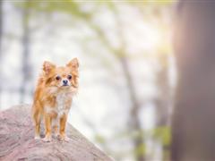 爱情幸福的句子2018 爱情幸福的句子