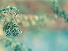 非主流繁体字伤感说说 繁体字说说霸气十足