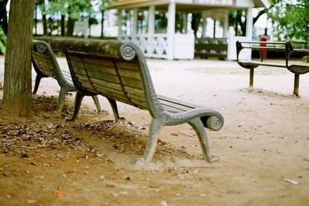 描写小草的优美句子