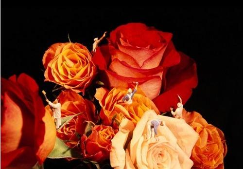 下雪的唯美句子