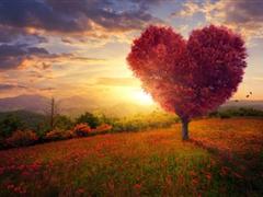 非主流唯美小说句子 小说里的唯美句子