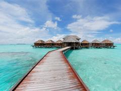 关于早上好的说说 适合早上发的朋友圈