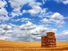 保佑平安的话 保佑全家平安的话