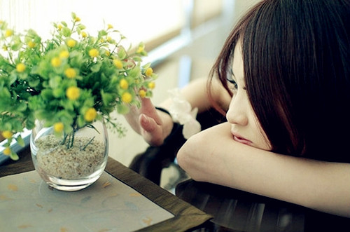 形容学校的句子