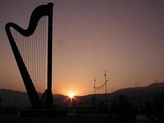 形容社会黑暗的句子