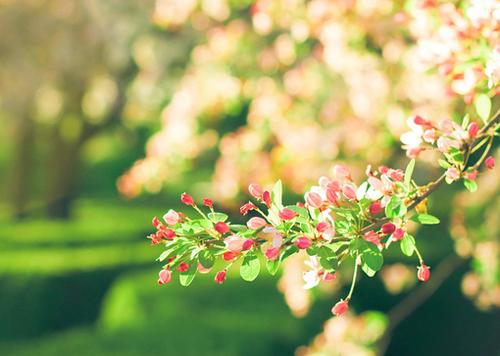 名人说过的一段话