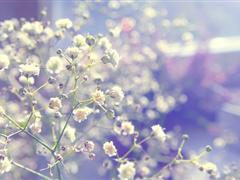 感恩分享的句子 感谢的话语简短精辟