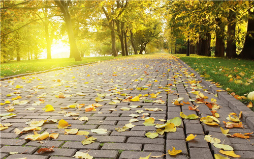 描写太阳的好词好句