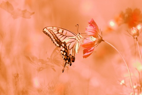 婚礼上对妻子说的话