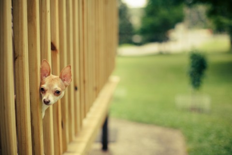 描写教室环境的句子