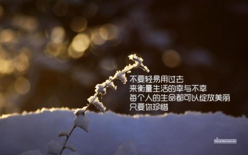 感恩励志的句子