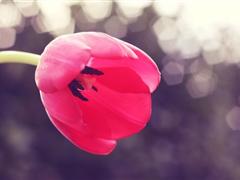 关于忘掉过去的说说