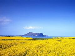 对一个人无所谓的说说 无所谓的句子说说心情