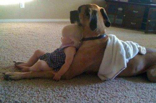 表达人间真情的句子