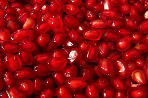 形容相遇的句子