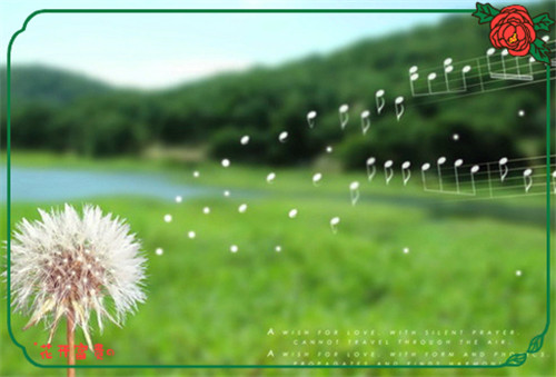 qq网名女生高冷