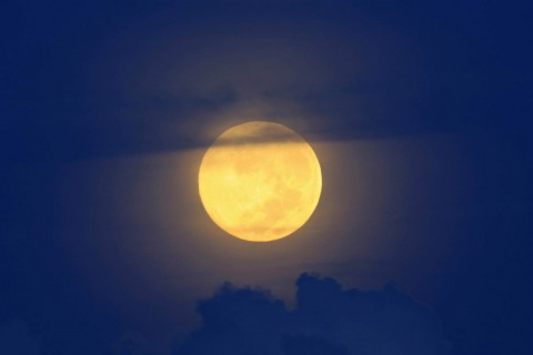 感叹人生无奈的句子