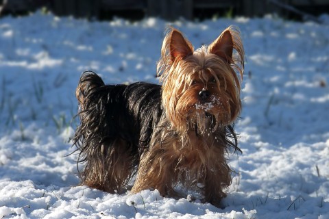描述雨夜的句子