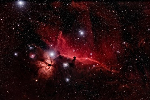 描写夏天清晨的句子