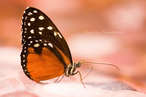 寻找一个人的说说